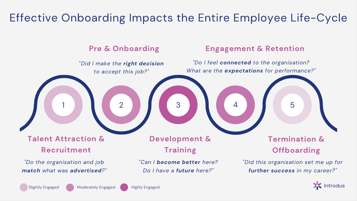 What Is The Employee Lifecycle The 7 Stages Introdus